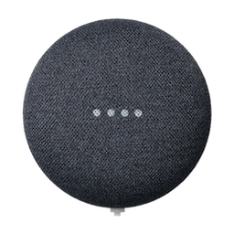 Google Nest Mini